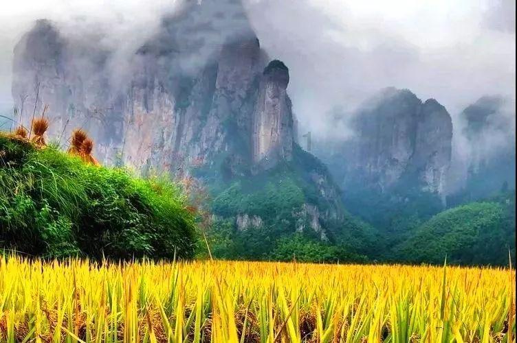 药明生物:公司CEO陈智胜没有在任何军事背景机构任职