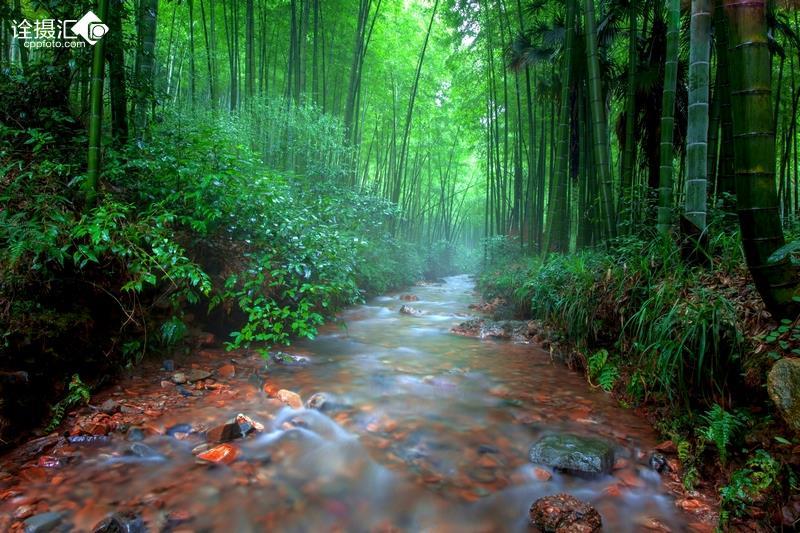 氨基酸水溶肥花后可以施肥吗？游戏画面